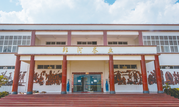 新会员风采|勐海郎河茶业有限公司