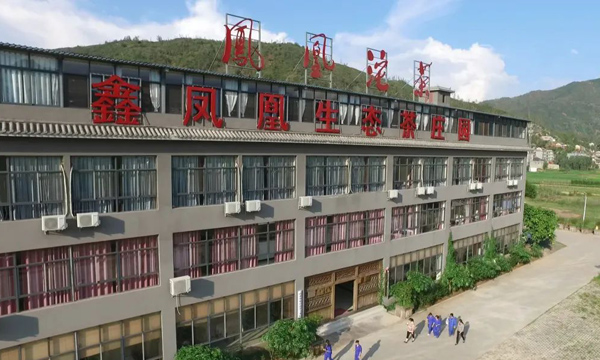 新会员风采|大理凤凰沱茶集团有限责任公司