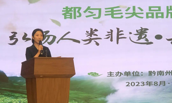 以非遗之名，点亮都匀毛尖的底色