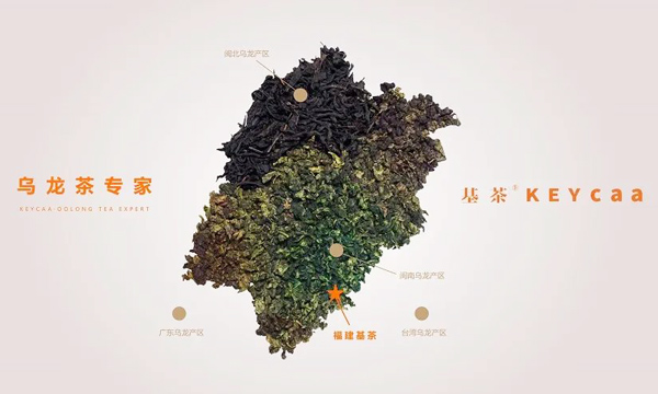 新会员风采|福建基茶生物科技有限公司