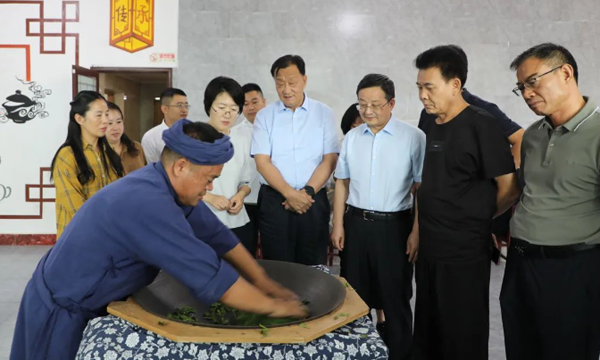 中茶协陪同民政部赴贵州调研茶产业发展情况