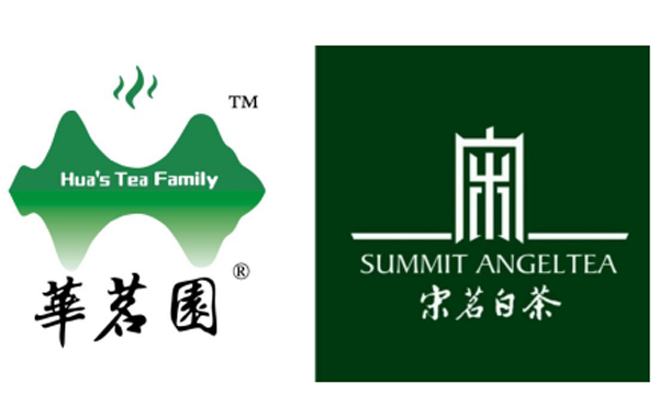 中茶协副会长单位华茗园携手宋茗白茶 深耕安吉白茶市场，助推“三茶”统筹高质量发展