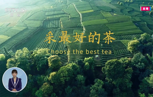 清茶敬远行！我会副会长单位艺福堂茶业带您细数亚残运会闭幕上精彩的茶瞬间