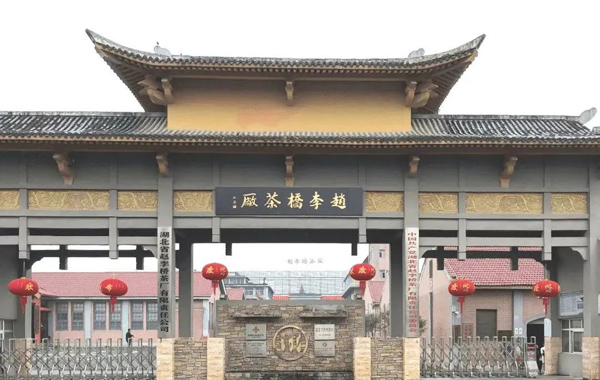 第十九届中国茶业经济年会：赤壁考察抢“鲜”看