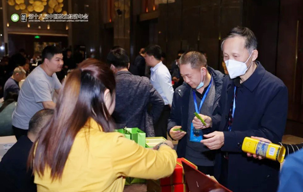 年会精彩先知道——CTMA茶客俱乐部大茶客沙龙