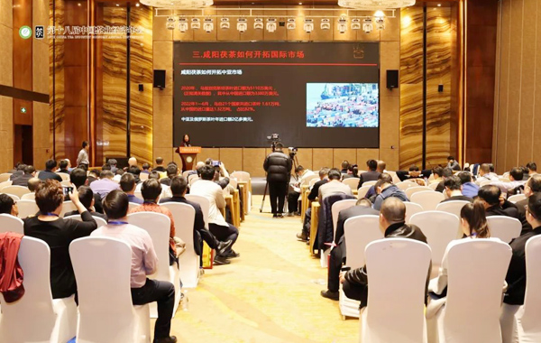 年会精彩先知道——19日 茶产业平行交流会