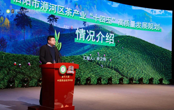 年会精彩先知道——11月18日 品牌大会