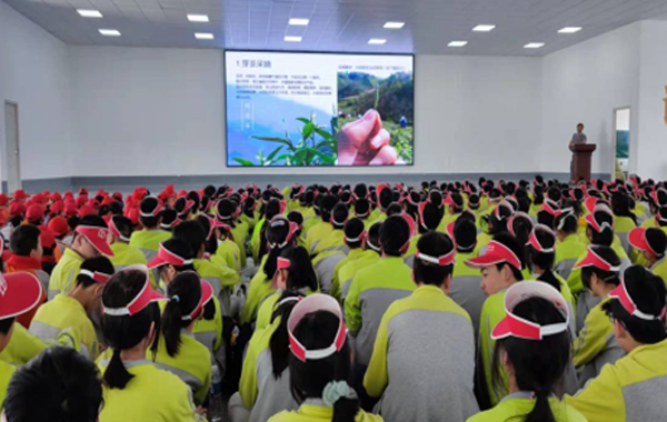 “诚信兴商”案例展播（四）|中茶协理事单位随州神农茶业——刘三运：守一片匠心 做一杯好茶