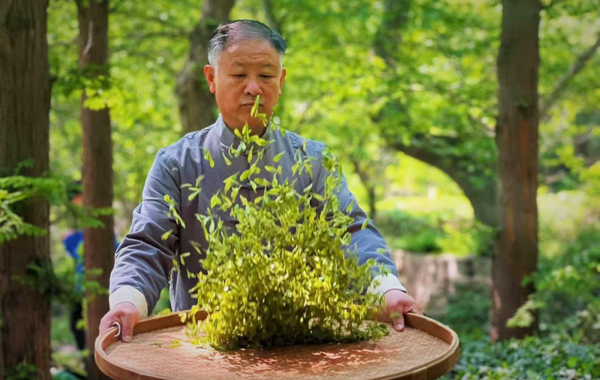 “诚信兴商”案例展播（五）|中茶协副会长单位晓阳工贸——匡新：传承崂山茶文化，助力乡村振兴