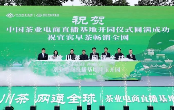 “茶业电商直播基地”开园仪式成功举办