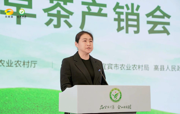 南方有嘉木，早茶最宜宾——2024年宜宾早茶产销会成功举办