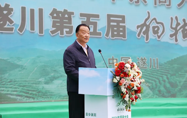 一叶清茗舞，喜迎八方客——2024年茶商大会暨江西·遂川第五届狗牯脑茶文化节顺利开幕