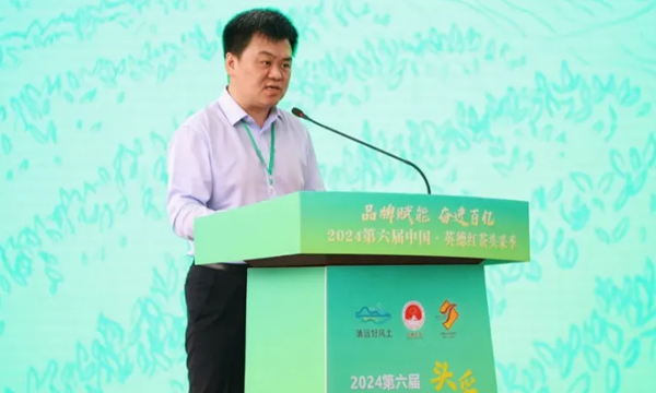 2024第六届中国·英德红茶头采季活动成功举办