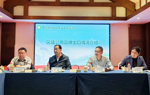 “茗”聚黄山，共绘茶业出口合作新篇章！