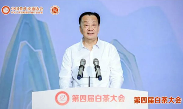 政通人和，百业俱兴——第四届白茶大会盛大开幕