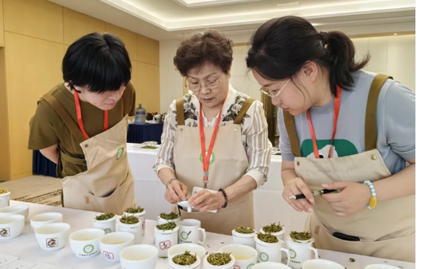2024“两展一节”茶产品与包装调查推选在京成功举行
