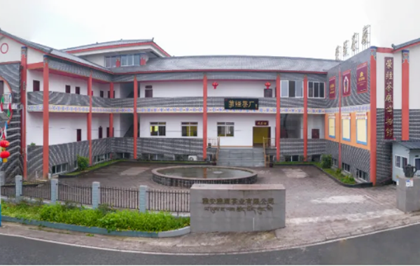 【2024北京国际茶业展|雅雨茶业】北京六月‖“雅雨”盛瀹