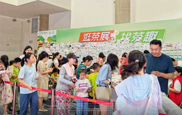 小茶人回归 2025年再相聚