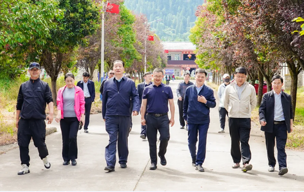 王庆会长应邀带队调研波密茶产业