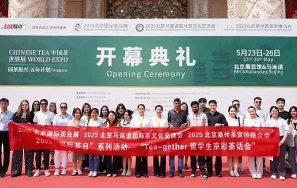 国际青年访茶展，一盏清茶话友谊