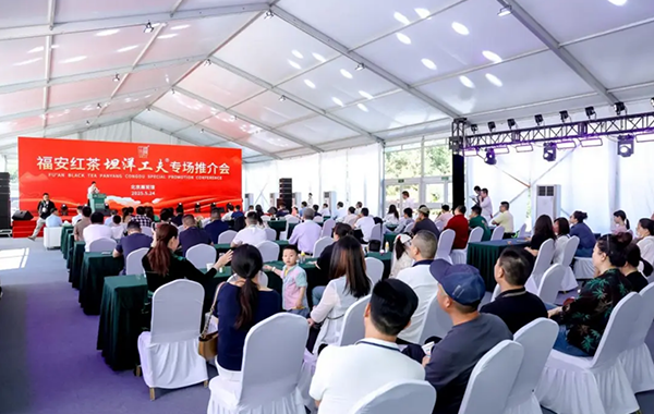 茶香飘万里 坦洋韵千年 福安红茶坦洋工夫品牌推介会在京举办