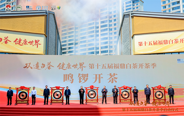 第十五届福鼎白茶开茶季启动