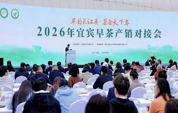 早春第一缕 世界共茶香——2026年宜宾早茶产销对接会在屏山盛大举行