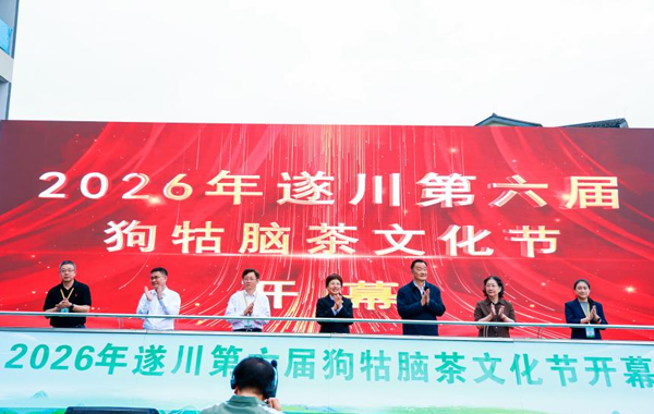 产销聚力，赋能茶兴—全国茶商齐聚遂川 激活狗牯脑茶发展新动能