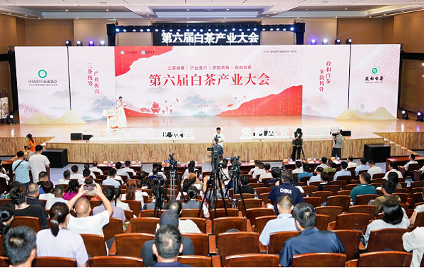 第六届白茶产业大会隆重启幕