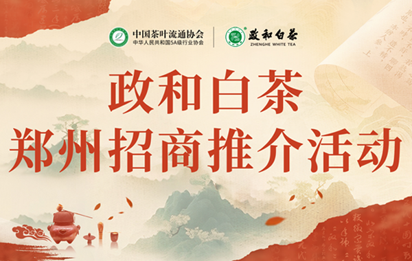 政和白茶郑州招商推介活动成功举办