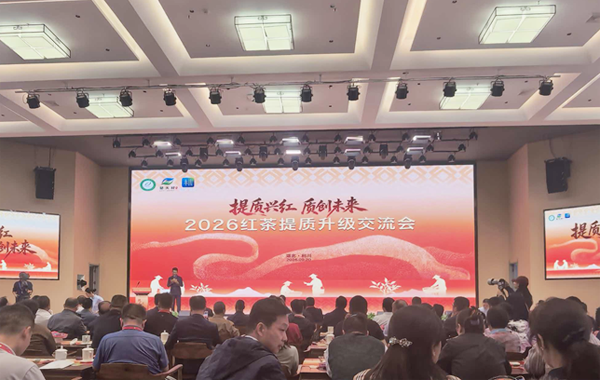 “提质兴红 质创未来”——2026红茶提质升级交流会在利川举行