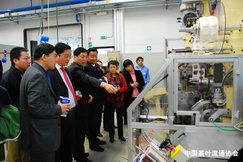 代表团考察IMA公司