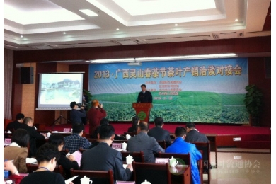 2013广西灵山茶叶产销洽谈对接会成功举办