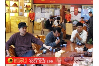 2013茶叶加盟品牌观景茶业的快速崛起