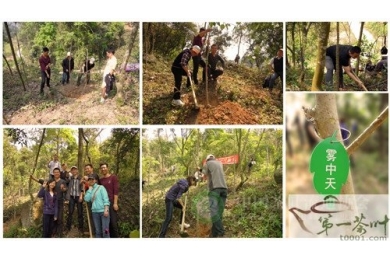 雾中天2013公益植树活动：心系大地 一叶融天