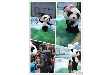 茶也玩创新营销  2013春茶季看川茶如何“蓄谋”熊猫