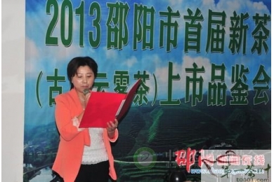 2013邵阳市首届新茶品鉴会昨举行