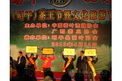 王庆常务副会长出席2013广西（昭平）茶王节并调研茶产业