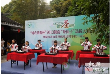 2013湖南“茶仙子”选拔大赛启动