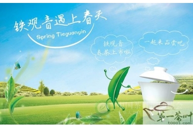 2013春茶上市，山国小乔夏装靓丽登场