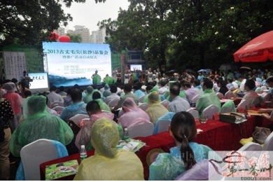 2013年古丈毛尖长沙品鉴会昨日启动