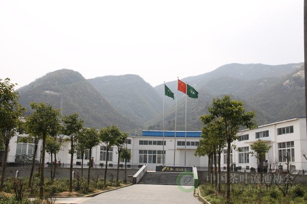 global_C32193E1-4790-7767-E359-7D1D3DD5E