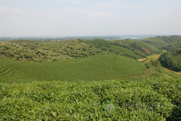 global_D9D49EA3-8434-FC5F-96EC-CC2056C04