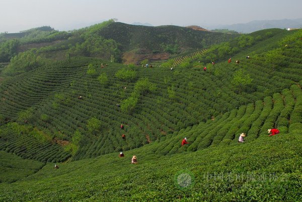 global_07A7A65F-606E-5C0D-37E9-7601ED915