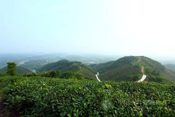 global_DFF83AE5-D5A4-E5F8-48BA-E9BB1F3F9