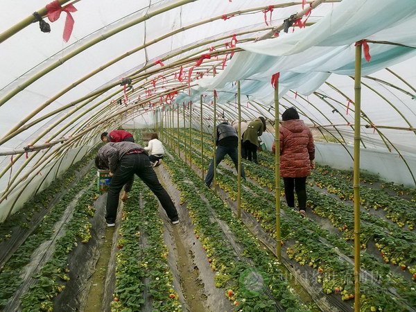 global_D8546041-FD66-0B3A-9FAE-85F0DFF6C