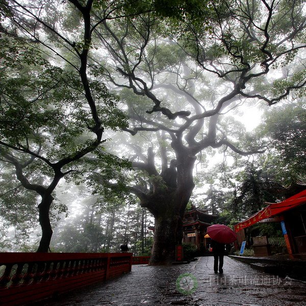 global_5793B406-C1B5-314E-47DA-E21577383