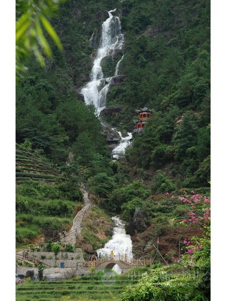 global_1DFC78E3-1118-C6B9-BA35-246003C05