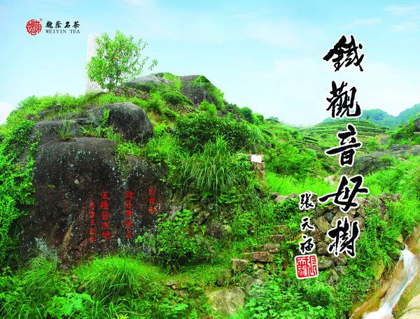 global_0931AFFC-CDAA-106C-4422-A962E0245