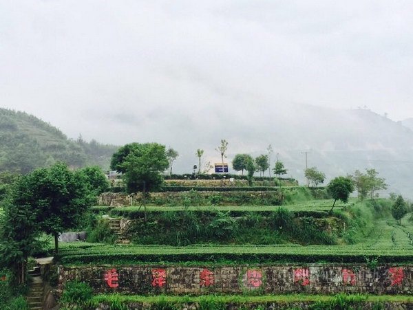 global_91291F19-A75F-6A64-6BA9-6ABF0A3BD